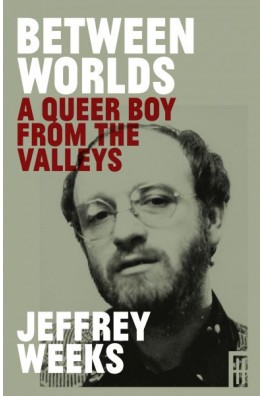 Between Worlds - Queer Boy from the Valleys, A