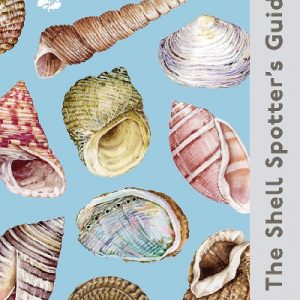 The Shell Spotter's Guide