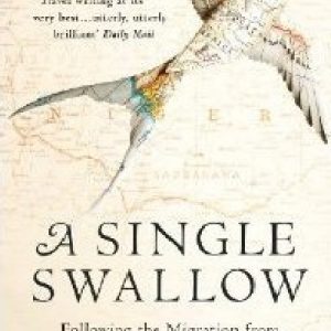 Single Swallow, A - Following an Epic Journey from South Africa to South Wales