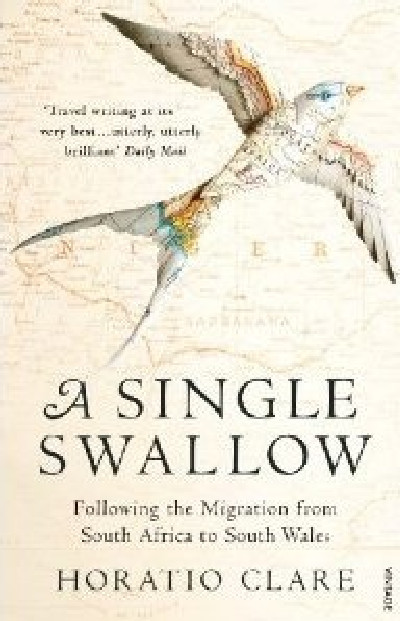 Single Swallow, A - Following an Epic Journey from South Africa to South Wales