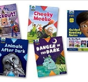 Project X: Band 7 Turquoise - in the Dark (Mixed Pack of 4)