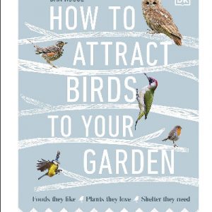 How to Attract Birds to Your Garden