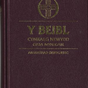 Beibl Cymraeg Newydd, Y - Gyda Mynegair