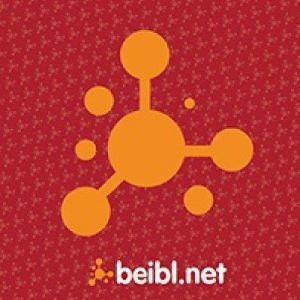 Beibl.Net: Print Bras (Colloquial Welsh Large Print Bible)