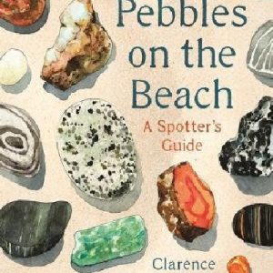 Pebbles on the Beach - A Spotter's Guide