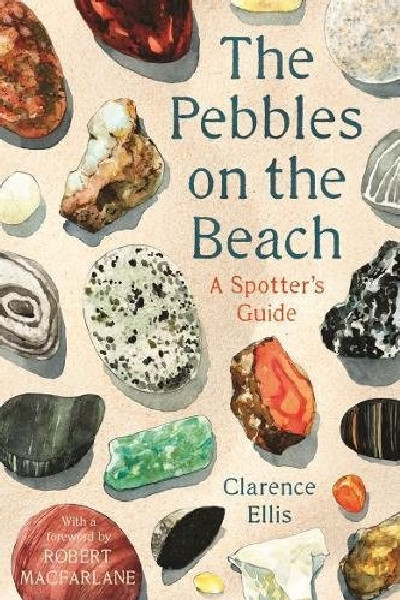 Pebbles on the Beach - A Spotter's Guide