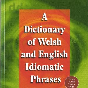 Dictionary of Welsh and English Idiomatic Phrases, A / Geiriadur Idiomau