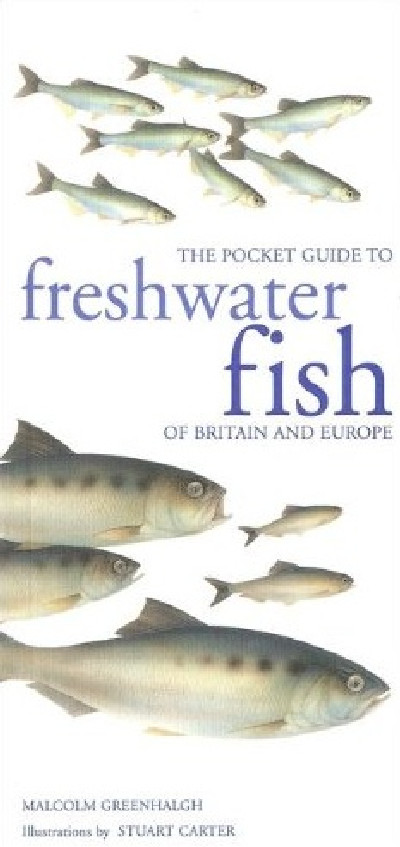 Pocket Guide to Freshwater Fish of Britain and Europe, The