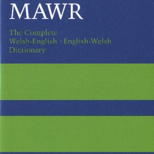 Geiriadur Mawr, Y