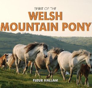 Spirit of the Welsh Mountain Pony