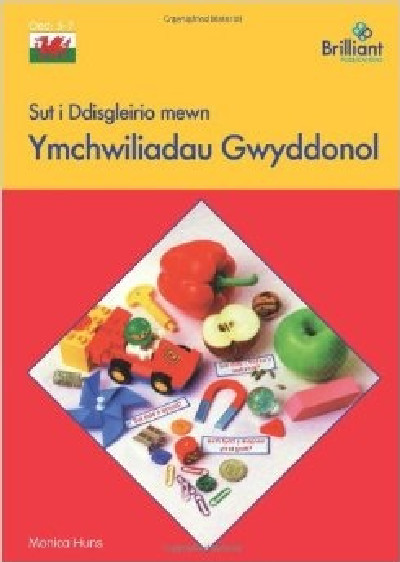 Sut i Ddisgleirio Mewn Ymchwiliadau Gwyddonol