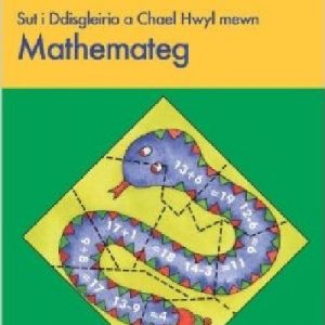 Sut i Ddisgleirio a Chael Hwyl Mewn Mathemateg