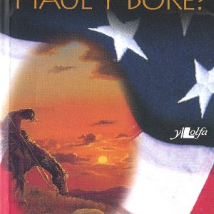 I Ble'r Aeth Haul y Bore?