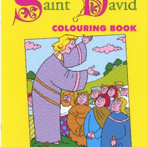 Welsh Heroes Colouring Book - Saint David