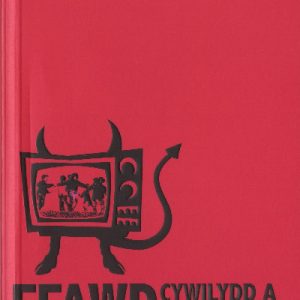 Ffawd, Cywilydd a Chelwyddau