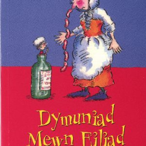 Cyfres Gwalch Balch: 1. Dymuniad Mewn Eiliad