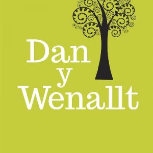 Dan y Wenallt