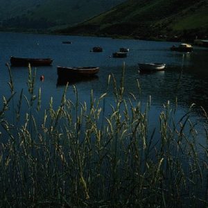 Mary Jones and her Bible