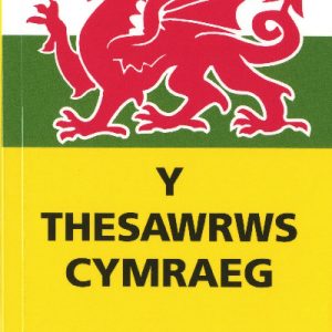 Thesawrws Cymraeg, Y - Y Drysorfa Eiriau (Maint Poced)