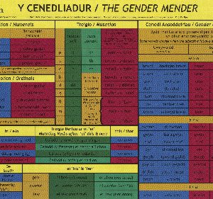 Cenedliadur, Y/Gender Mender
