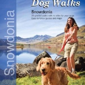 Countryside Dog Walks - Snowdonia