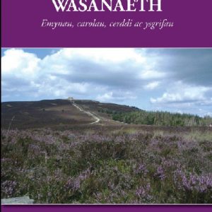 Breiniol Wasanaeth - Emynau, Carolau, Cerddi ac Ysgrifau