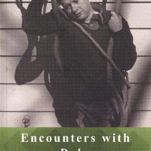 Encounters with Dylan