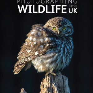 Photographing Wildlife in the UK