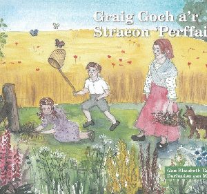 Graig Goch a'r Straeon 'Perffaith'