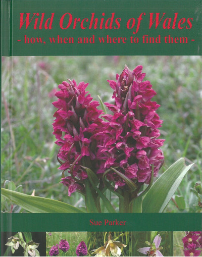 Wild Orchids of Wales