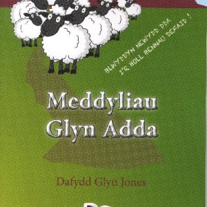 Meddyliau Glyn Adda