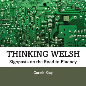 Thinking Welsh