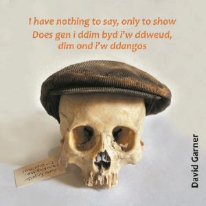 I have nothing to say, only to show / Does gen i ddim byd i'w ddweud, dim ond i'w ddangos