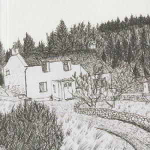 A Hidden Home in the Gwydyr Forest