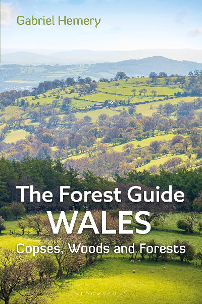 The Forest Guide - Wales