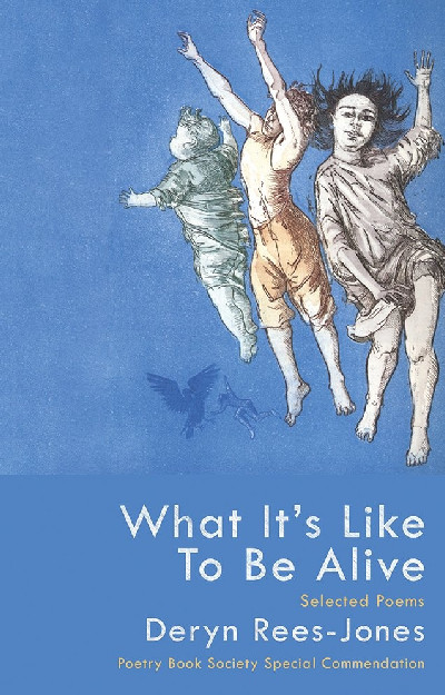 What It's like to Be Alive - Selected Poems