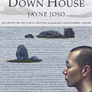 My Falling Down House