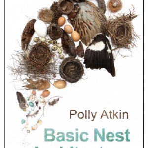 Basic Nest Architecture