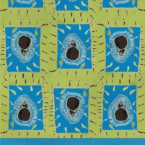 The Lovely Disciplines