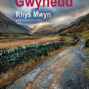Real Series: Real Gwynedd