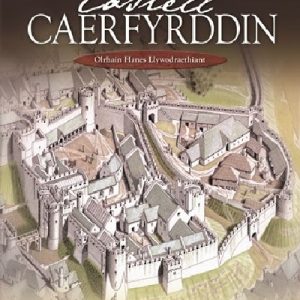 Castell Caerfyrddin - Olrhain Hanes Llywodraethiant