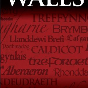 Place-Names of Wales, The