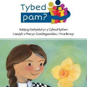 Cyfres Tybed Pam? Addysg Grefyddol yn y Cyfnod Sylfaen - Pecyn Cyflawn