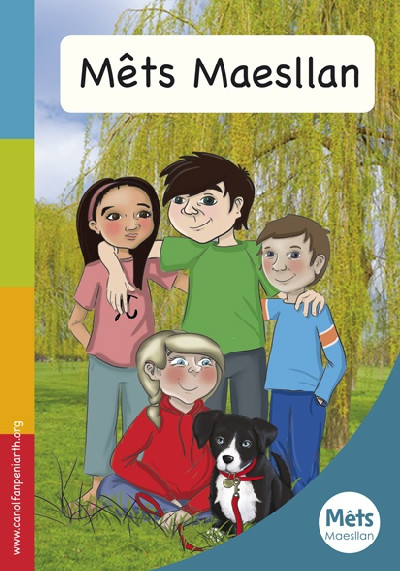 Mêts Maesllan - Llyfr Rhagarweiniol