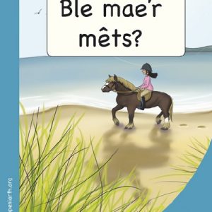 Mêts Maesllan: Ble Mae'r Mêts?