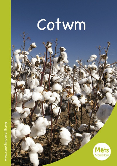 Mêts Maesllan: Cotwm