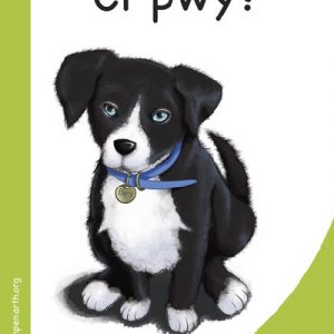 Mêts Maesllan: Ci Pwy?