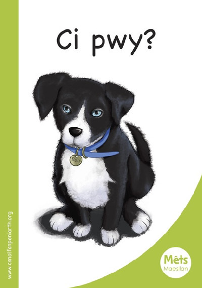 Mêts Maesllan: Ci Pwy?