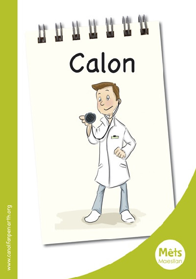 Mêts Maesllan: Calon