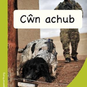 Mêts Maesllan: Cŵn Achub